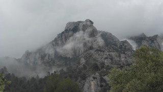 Pel teu Somriure, Cel i la Cuervix a la Pastereta.