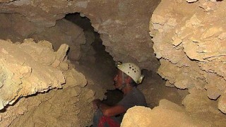 Bardena Negra (4)