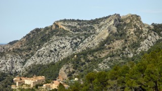 Les ermites de cardó