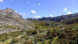 Coma de Son Torrella