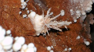 El carst de les Black Hills (2) Jewel Cave
