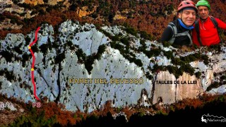 Vies Francesc Suñol i Aina