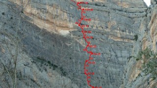 Vidal-farreny a la paret de les bagasses