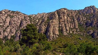 25a. Trobada d'Esportiva a l'Esquerra i Totxo Pinotxo