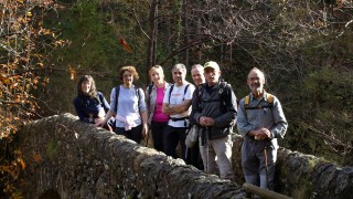 Pels boscos de Bellmunt
