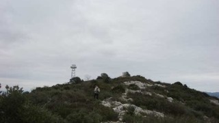PUIG DE L'ALIGA de CANYELLES (464,2 m.)