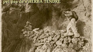Puig de sa Creu pel pas de s'Herba Tendre 8-8-2015