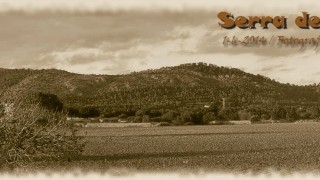 Serra de Galdent 1-6-2014