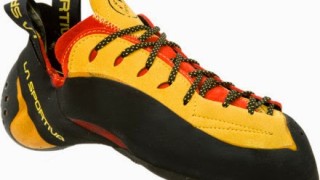 Peus de gat perduts al Brull Lolo.