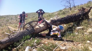 Naixement del vinalopo - sendes de mariola 4/5/14