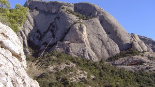 Funció Clorofíl.lica a la Pastereta, una via per gaudir.El Serrat de la Pastereta.
