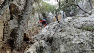 Puntals de Planícia pel passos de s'Encletxa i de sa Biga
