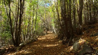 Puigneulós, la tardor
