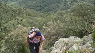 Miranda de Puigcerver, flors de primavera