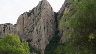 Aresta ribas. pollegons de la vinya nova.