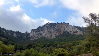 Volta al Bosc de Son Vic