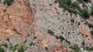 Cingle Roig - Esperó de Cal Fité - Via d'en Martí 19/06/2019