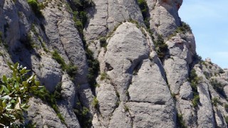 Montserrat - Càmping - Via Esperó del Místic - 19/05/2021