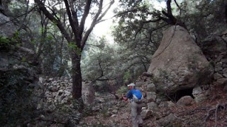 Moletó de sa Granja pel pas d'en Redó