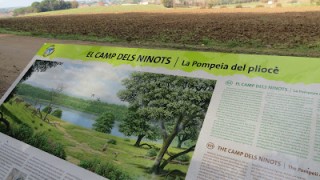 El camp dels ninots. Caldes de Malavella- Caldes de Malavella