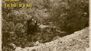 178 - Pas d'en Redó, pas de sa Mola i pas des Aragalls 28-5-2017