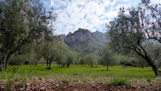 Montserrat - Clot de la Mònica - Serrat d'en Muntaner - Via divorci imminent 28/04/2018