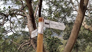 Ruta pel Cocoll,la llacuna i fi d'etapa a Benigembla