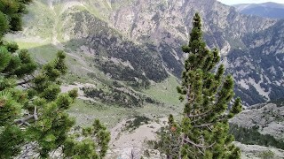 Biodesagradable a la Piràmide de l'Aigua.