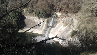 Salt d'en nara (sant martí sescorts)
