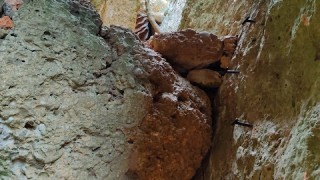 Montsant màgic: els graus de barrots i carabassal