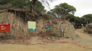 Ruta de l'esquirol a Premià de Dalt