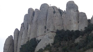 Travessa dels Flautats