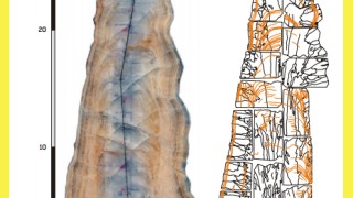 Reconstruccions paleoclimàtiques i carst (2)