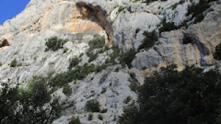Emilio Amor a la Serra de Carrànima.