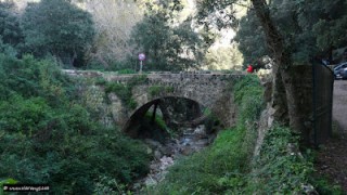 Puig dels Boixos i Mola de Son Pacs