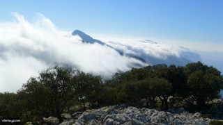 Mola de Planícia pel pas de la Mola