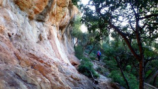 Moles de Son Pacs i de Son Ferrandell