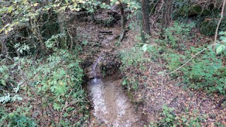 GR-151: Ripoll – Sant Joan de les Abadesses (785 m) Camins del Bisbe i Abad Oliba – 11ena etapa