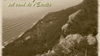 216 - Es pas des Gat pel camí de s'Escolta (9-12-2019)