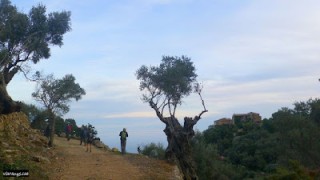 Talaia Vella (Refugi Arxiduc) - Camí de s'Arxiduc - Cingles de Son Rul·lan
