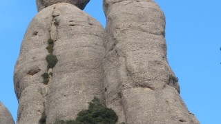 Una d'arestes Bruc, saltant de la Bitlla a la Bola de la Partió.  Agulles. Montserrat. 20-06-2020.