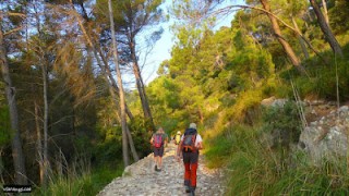 Camí Vell de Puigpunyent a Estellencs i el Grau de Superna