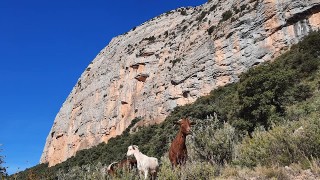 *** La Cosa Nostra (170m, 6a+/A1), Roca dels Arcs + Lucero del Alba (110m, 6a+/Ae), Roca Alta, Vilanova de Meià