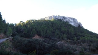 Moleta de Son Cabaspre per la Gran Canal