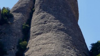 Montserrat - Magdalena Superior - Ignasi Jorba - 04/08/2019