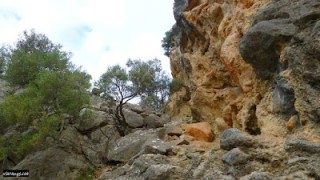 Mola de Son Pacs i Penyal Vermell