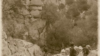 162 - La serra Mitjana i el pas d'en Cavaller 13-11-2016