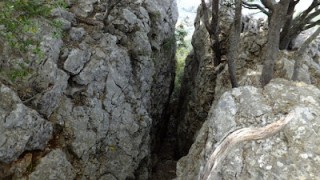 Passos de na Lluïsa i del Mestre