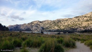 Serra de Cúber Nord, pel pas de n'Alou