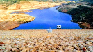 Per la presa d'albages